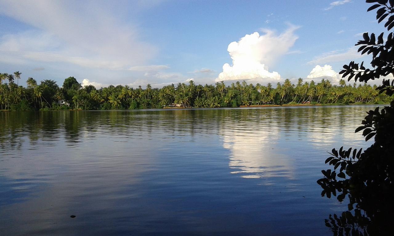 Big Banana Island Retreat Hotel North Paravur Exterior foto